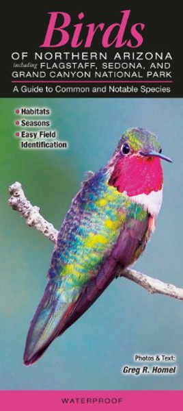 Birds of Northern Arizona including Flagstaff, Sedona, & Grand Canyon National Park: A Guide to Common & Notable Species