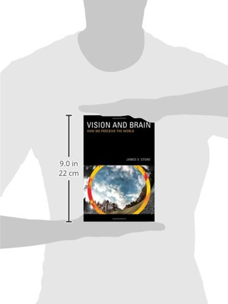 Vision and Brain: How We Perceive the World (MIT Press)