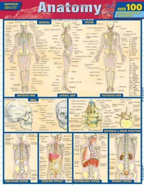 Anatomy Quizzer (Quick Study Quizzer)