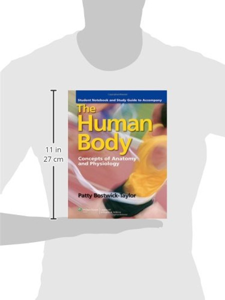 Student Notebook and Study Guide to Accompany The Human Body 3e: Concepts of Anatomy and Physiology