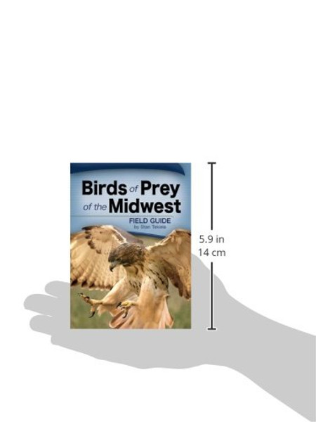 Birds of Prey of the Midwest Field Guide (Bird Identification Guides)