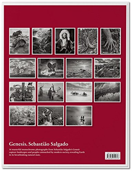 Salgado Poster Set