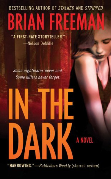 In the Dark: A Novel (Jonathan Stride)