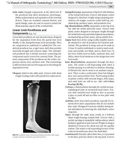 A Manual of Orthopaedic Terminology, 8e