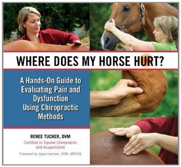 Where Does My Horse Hurt?