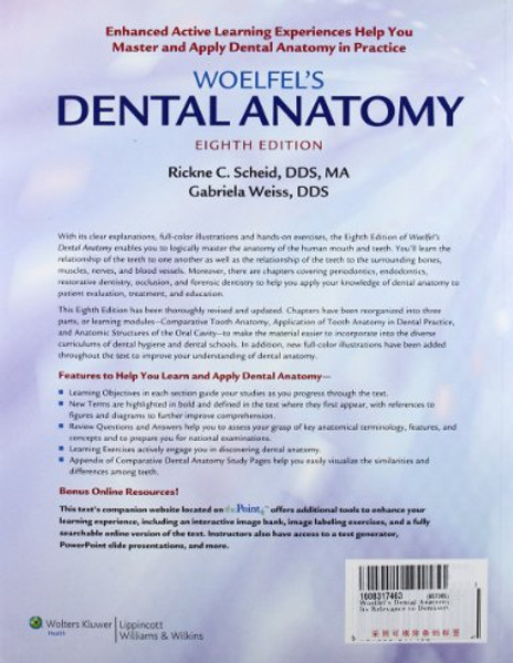 Woelfel's Dental Anatomy: Its Relevance to Dentistry