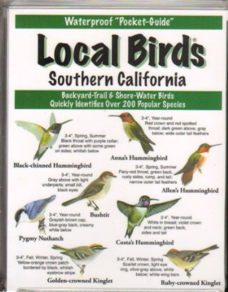 Local Birds Southern California
