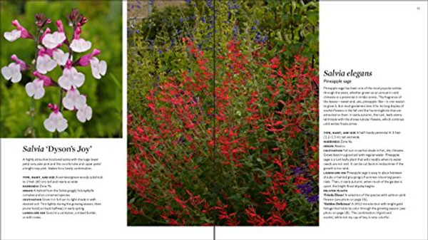 The Plant Lover's Guide to Salvias (The Plant Lovers Guides)