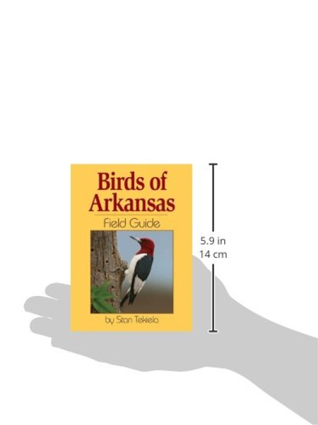 Birds of Arkansas Field Guide (Bird Identification Guides)