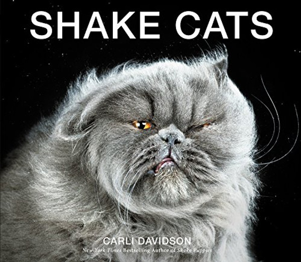 Shake Cats