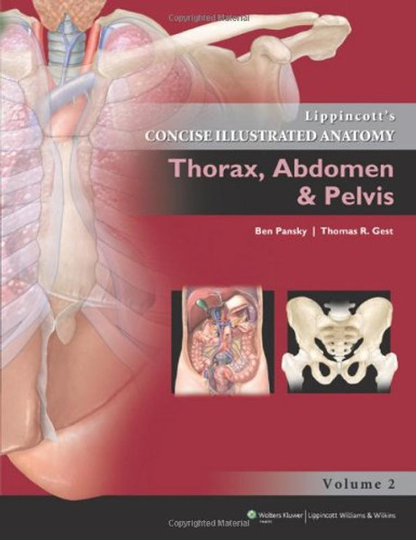 2: Lippincott Concise Illustrated Anatomy: Thorax, Abdomen & Pelvis (Lippincott's Concise Illustrated Anatomy)