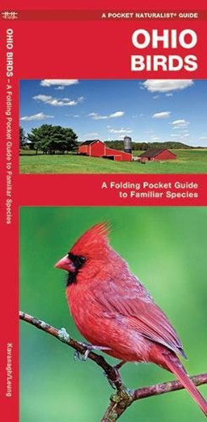 Ohio Birds: A Folding Pocket Guide to Familiar Species (A Pocket Naturalist Guide)