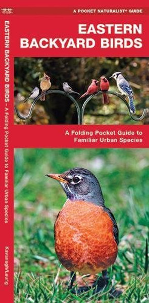 Eastern Backyard Birds: A Folding Pocket Guide to Familiar Urban Species (A Pocket Naturalist Guide)