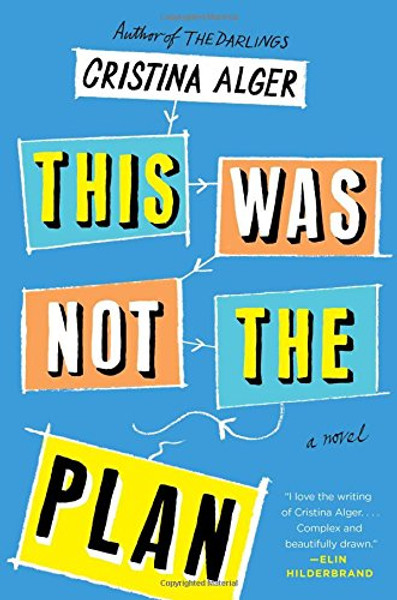 This Was Not the Plan: A Novel