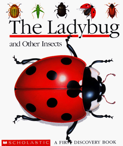 The Ladybug and Other Insects (A First Discovery Book)