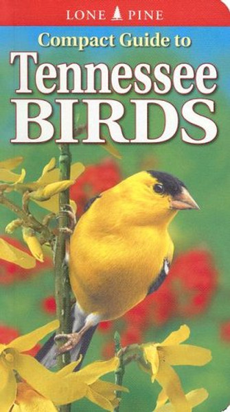Compact Guide to Tennessee Birds