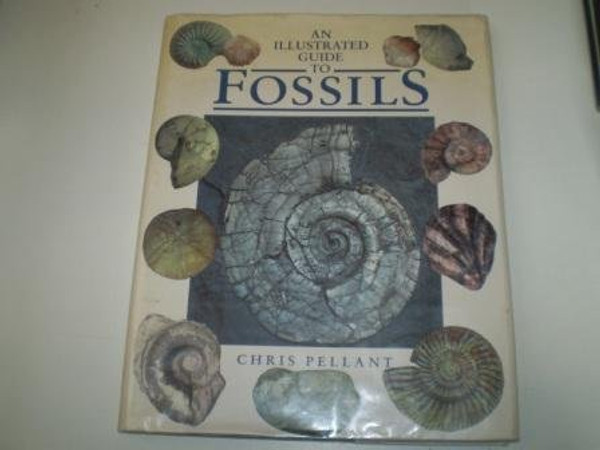 Illustrated Guide to Fossils