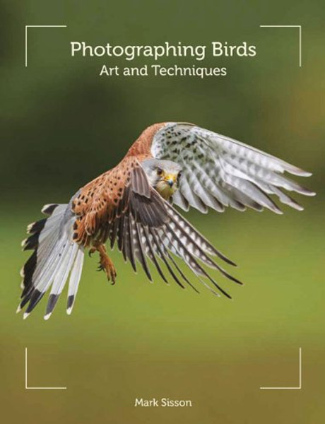 Photographing Birds: Art and Techniques