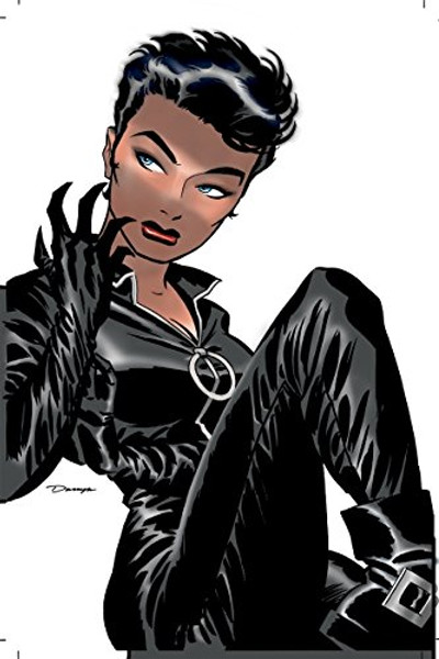 Catwoman Vol. 1: Trail of the Catwoman