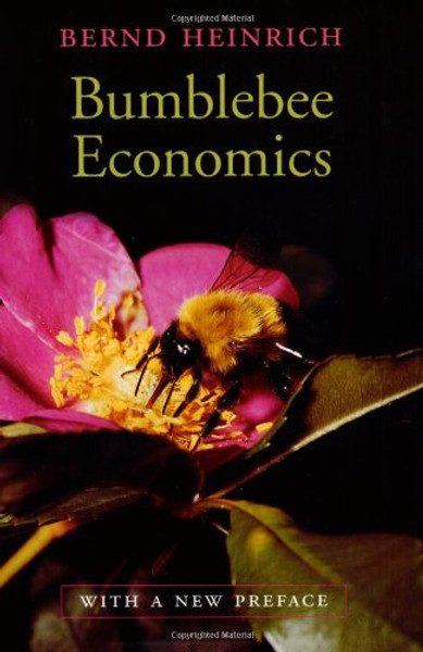 Bumblebee Economics: With a New Preface, Revised Edition