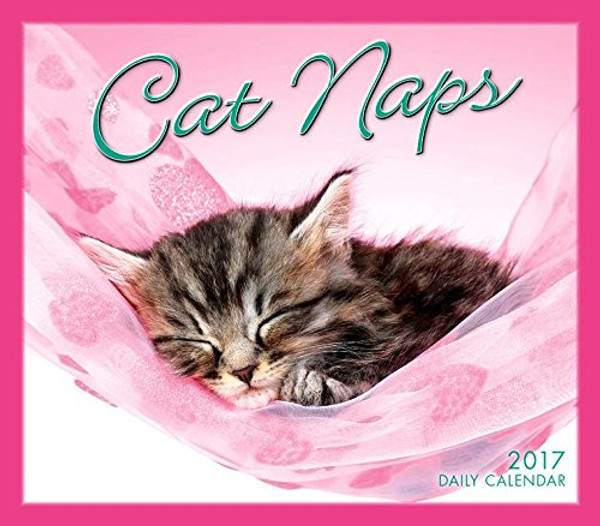 Cat Naps 2017 Boxed/Daily Calendar