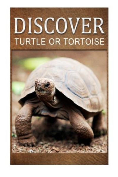 Turtle Or Tortoise - Discover: Early reader's wildlife photography book