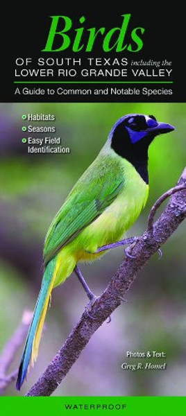 Birds of South Texas incl. the Lower Rio Grande Valley: A Guide to Common & Notable Species (Quick Reference Guides)
