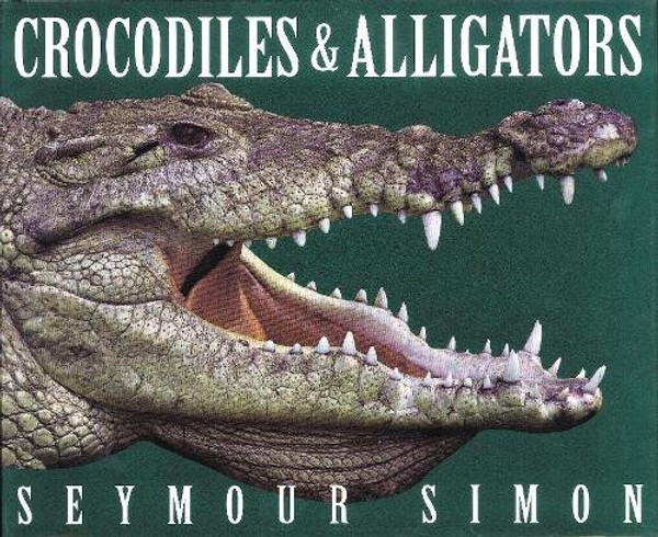 Crocodiles & Alligators