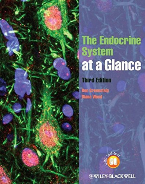 The Endocrine System at a Glance