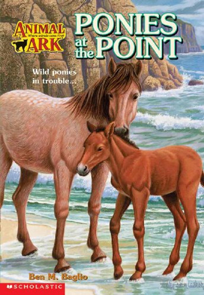 Ponies at the Point (Animal Ark Series #10)