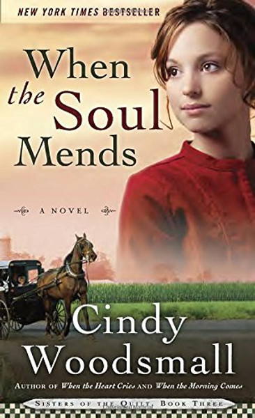 When the Soul Mends: Book 3 in the Sisters of the Quilt Amish Series