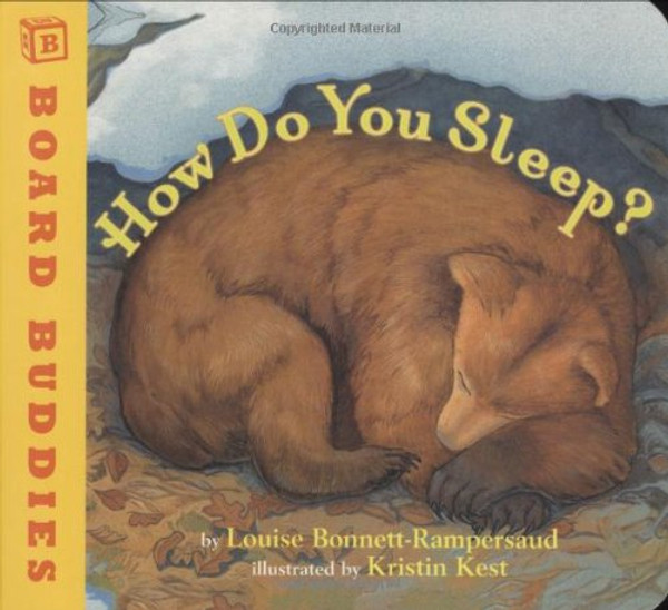 How Do You Sleep? (Board Buddies)