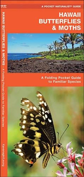 Hawaii Butterflies & Moths: A Folding Pocket Guide to Familiar Species (A Pocket Naturalist Guide)