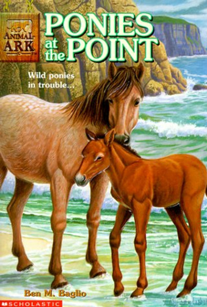 Ponies at the Point (Animal Ark #10)