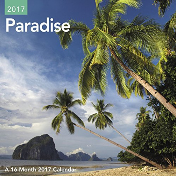 Paradise Mini Wall Calendar (2017)