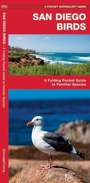 San Diego Birds: A Folding Pocket Guide to Familiar Species (A Pocket Naturalist Guide)