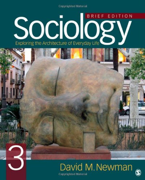 Sociology: Exploring the Architecture of Everyday Life, Brief Edition