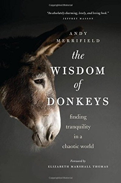 The Wisdom of Donkeys: Finding Tranquility in a Chaotic World