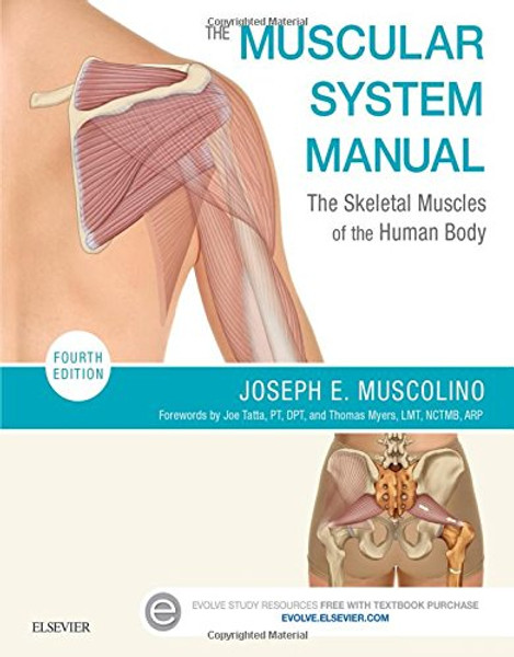 The Muscular System Manual: The Skeletal Muscles of the Human Body, 4e