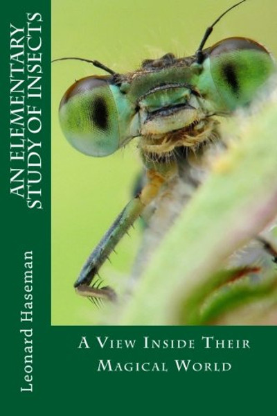 An Elementary Study of Insects: A View Inside Their Magical World