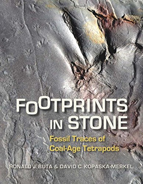 Footprints in Stone: Fossil Traces of Coal-Age Tetrapods