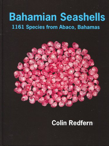 Bahamian Seashells: 1161 Species from Abaco, Bahamas