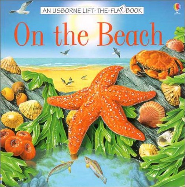 On the Beach (Usborne Lift-the-Flap Book)