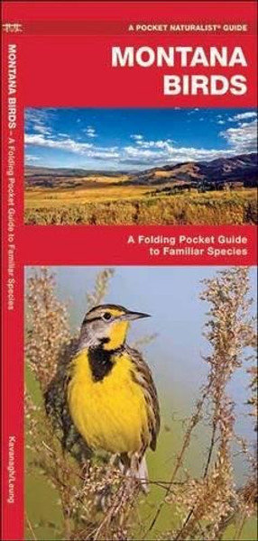 Montana Birds: A Folding Pocket Guide to Familiar Species (A Pocket Naturalist Guide)