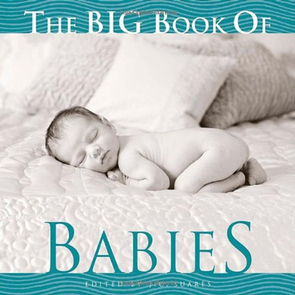 The Big Book of Babies (Big Book of . . . (Welcome Books))