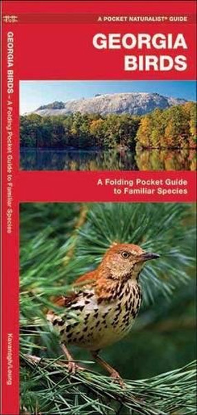 Georgia Birds: A Folding Pocket Guide to Familiar Species (A Pocket Naturalist Guide)