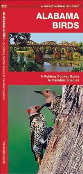 Alabama Birds: A Folding Pocket Guide to Familiar Species (A Pocket Naturalist Guide)