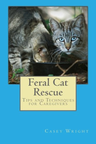 Feral Cat Rescue: Tips and Techniques for Caregivers