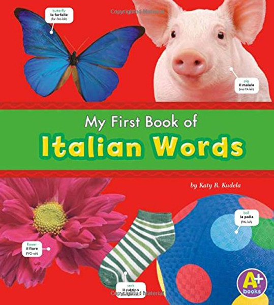 My First Book of Italian Words (Bilingual Picture Dictionaries) (Multilingual Edition)