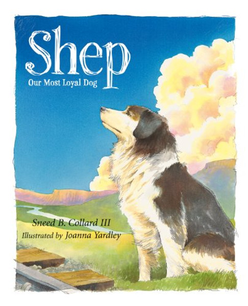 Shep: Our Most Loyal Dog (True Stories)